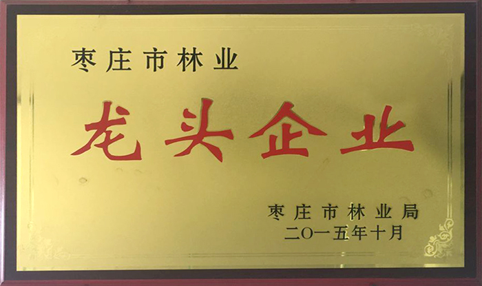 龍頭企業(yè)